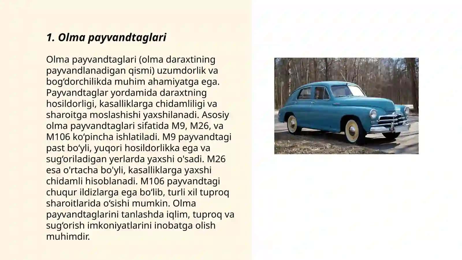 Olma payvandtaglari 3