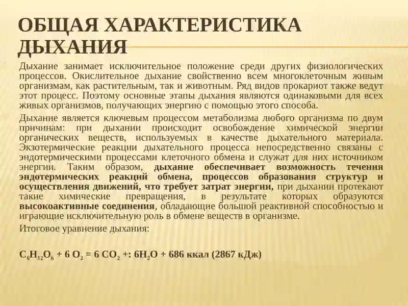Физиология растений 3