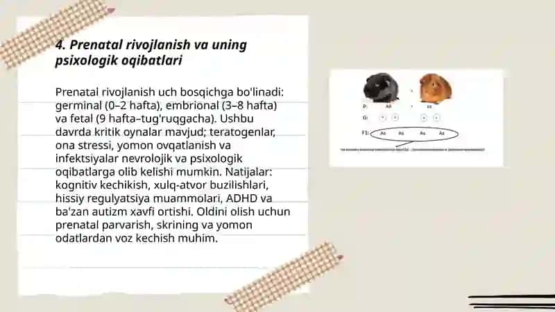 Prenatal rivojlanish 3