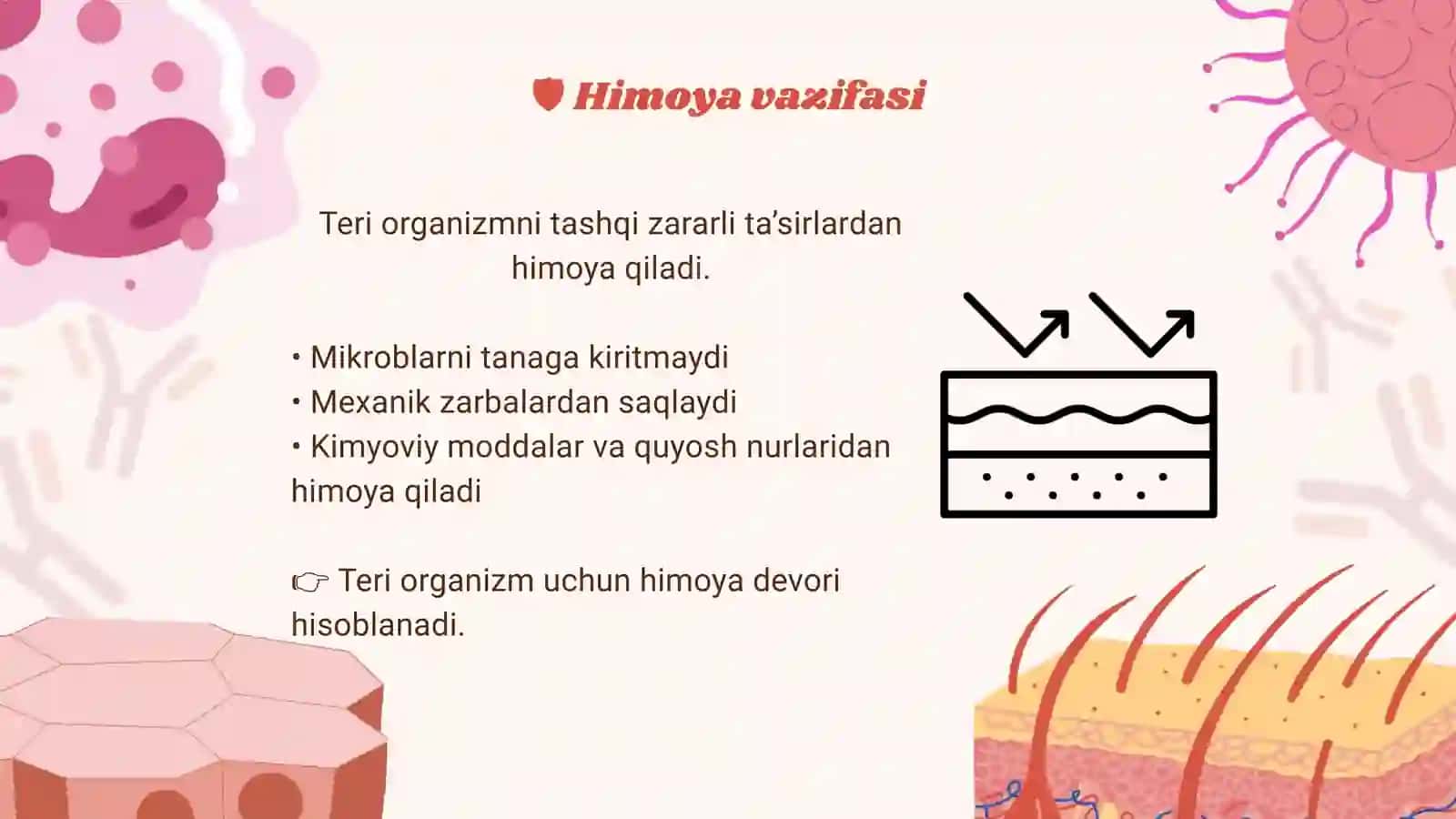 TERI VA UNING HOSILALARI 3