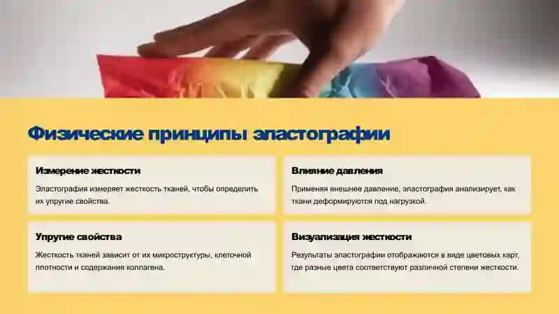 Основы эластографии 3
