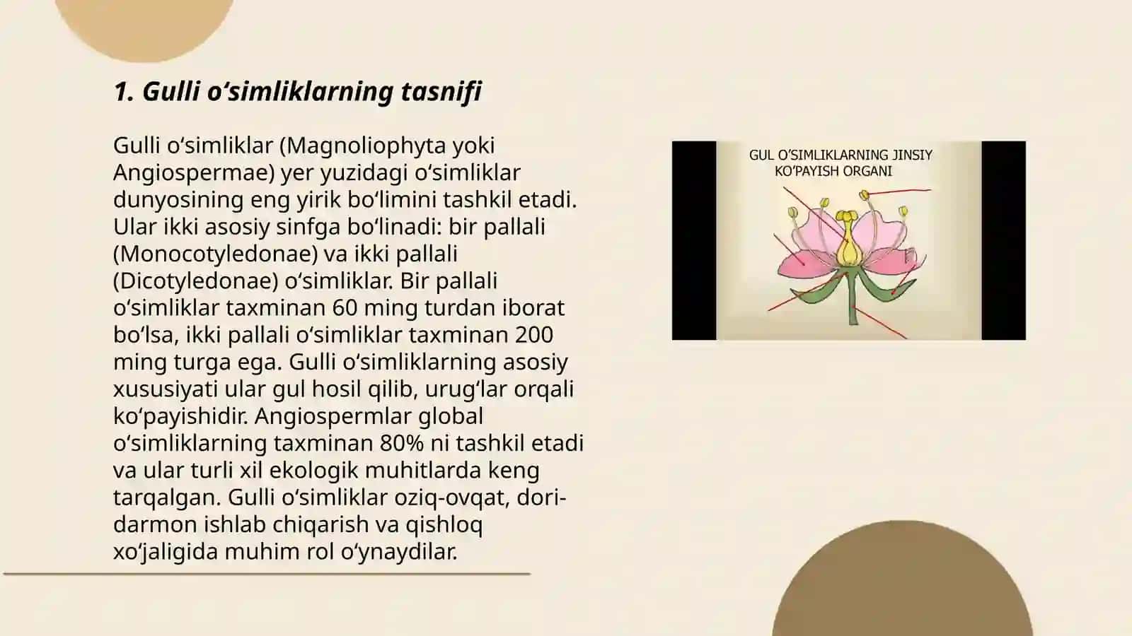 Gulli oʻsimliklar 3
