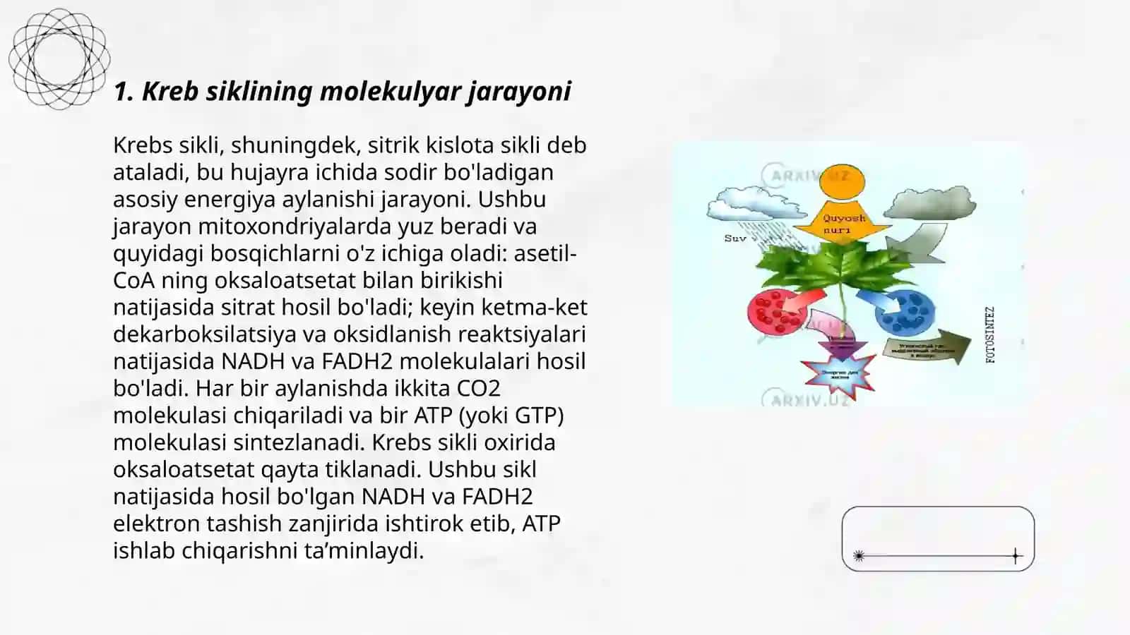 Kreb sikli va uning energetikasi 3