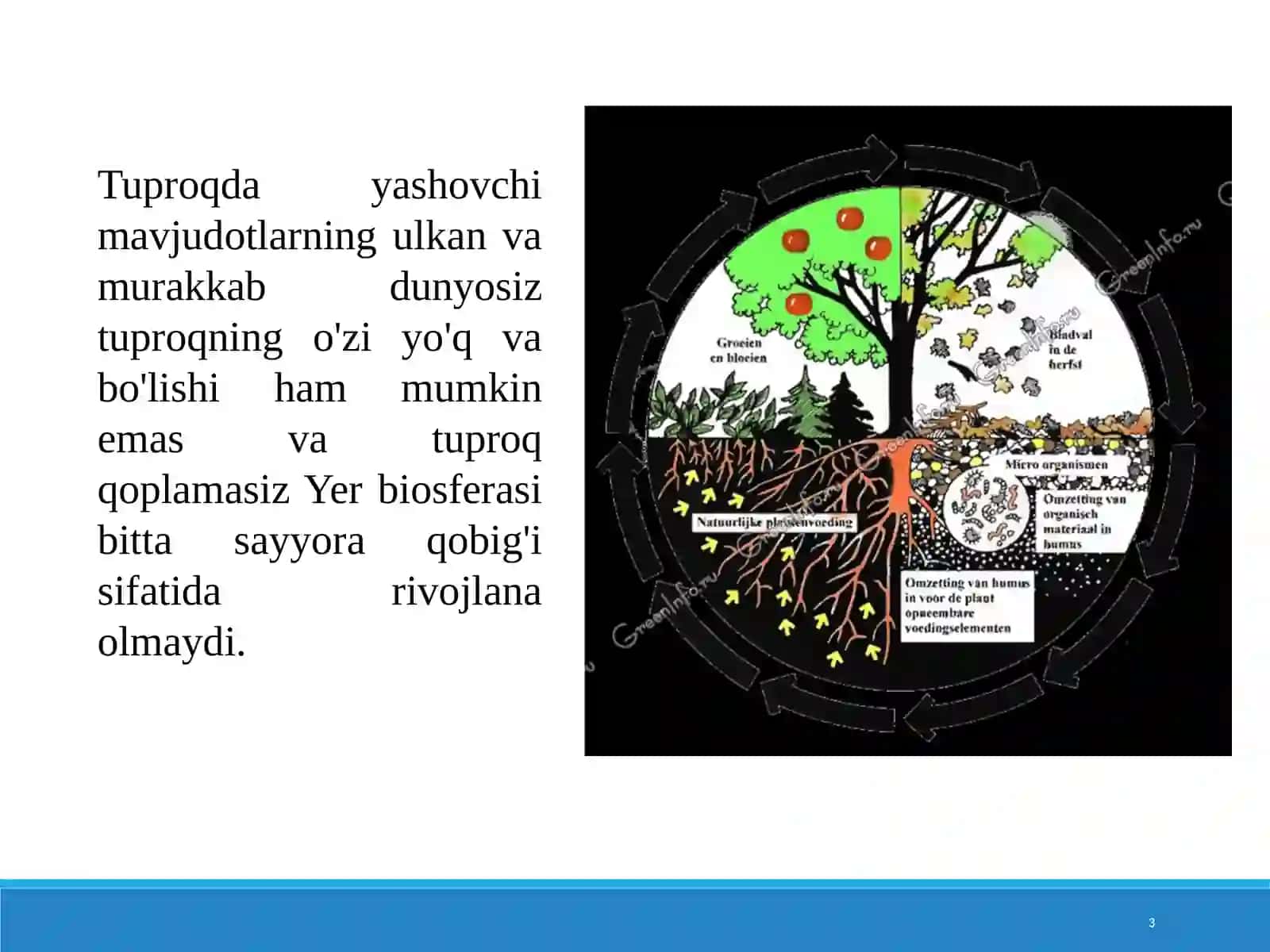 Tuproqlarni biologik faolligi 3