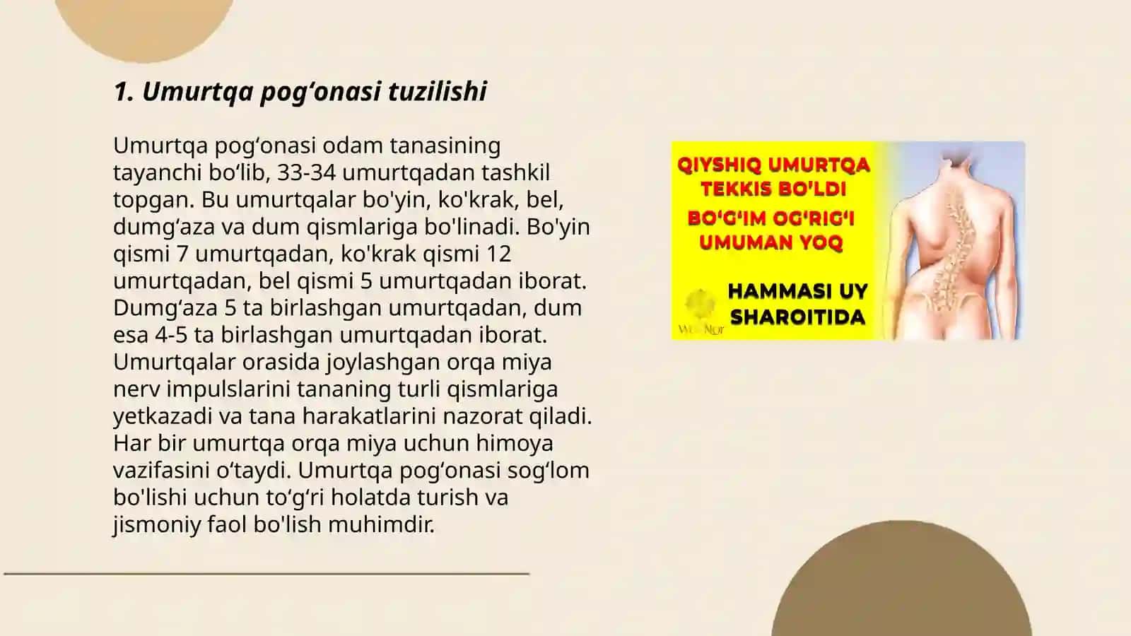 Umurtqa pogʻonasi umurtqalari 3
