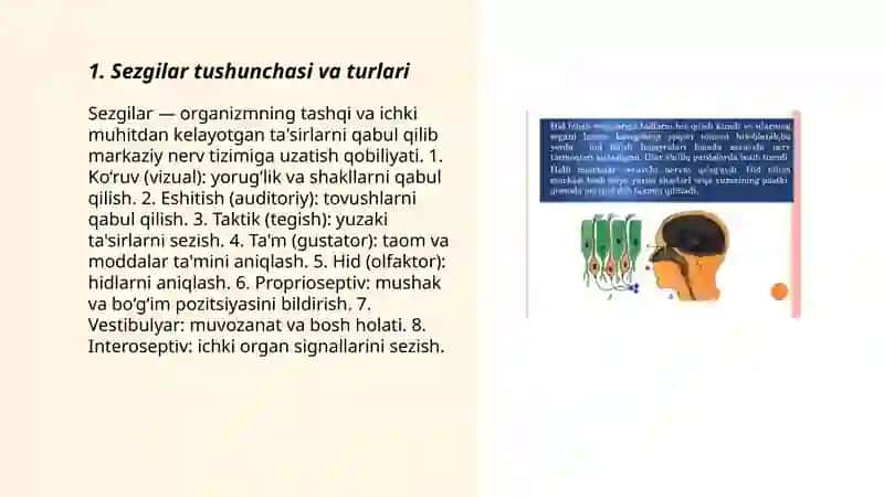 Sezgilar haqida umumiy tushuncha 3