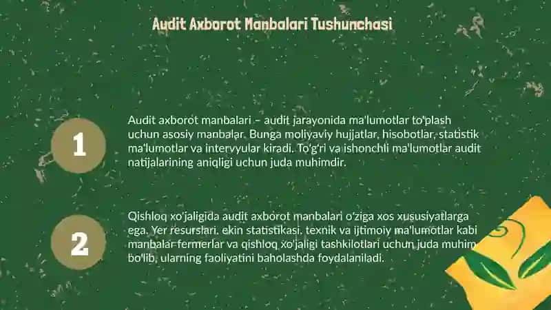 Audit axborot manbalari va ularning manbalari turlari 3