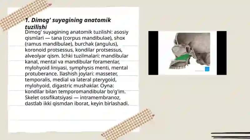 Dimog' suyagi 3