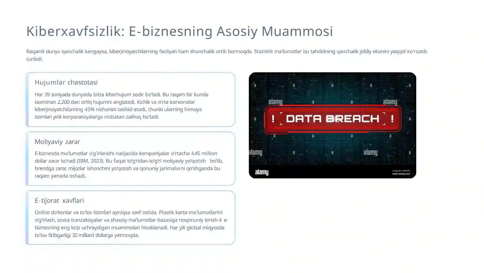 Muammolari E-biznes Tizimini Himoya Qilish 3