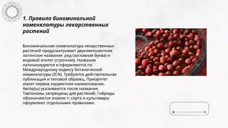 Лекарственные растения и латинские термины 3