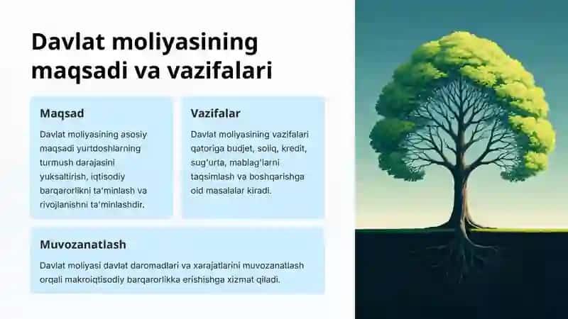 Davlat moliyasi va uning amaldagi funksiyalari 3
