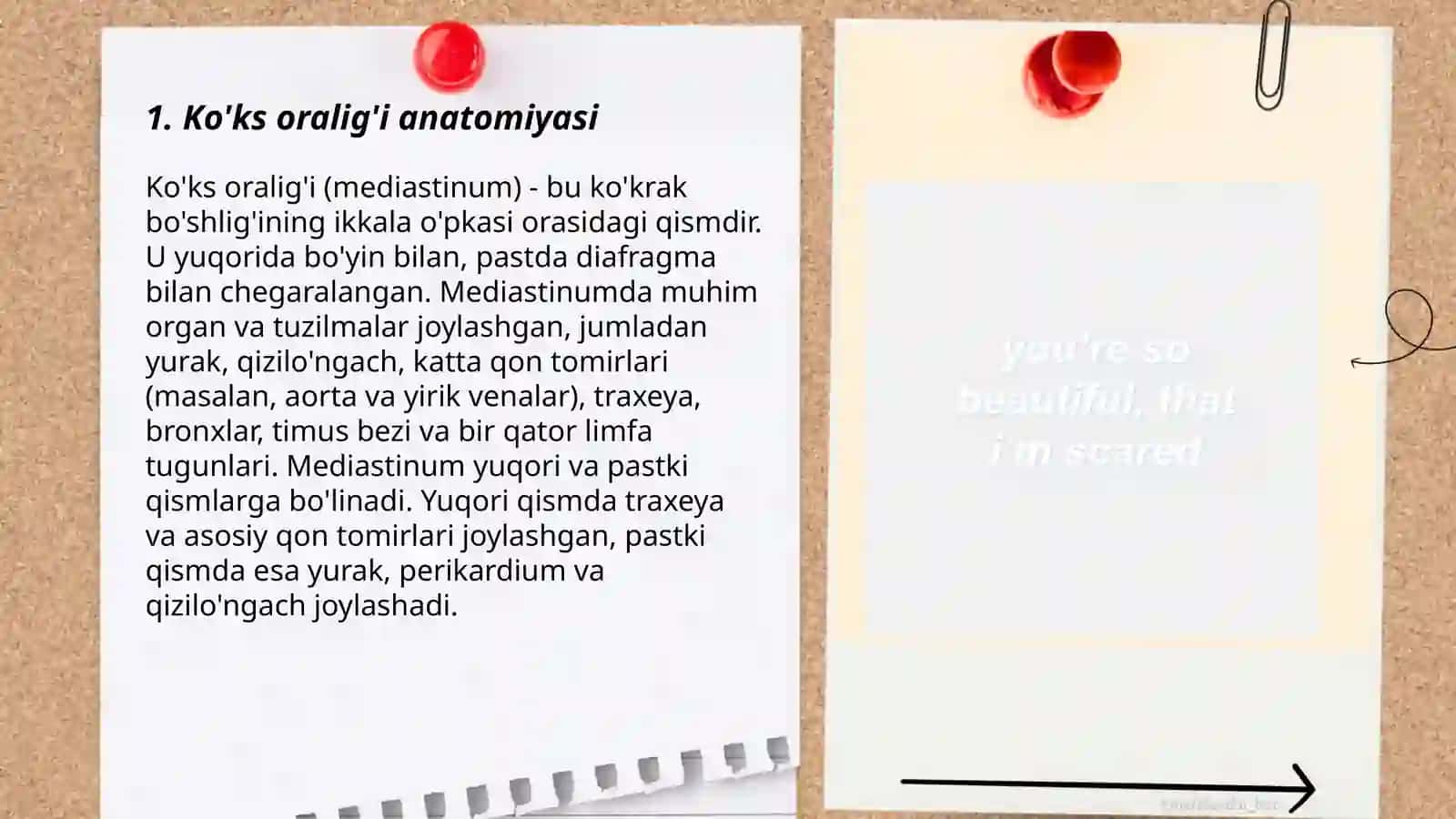 KO’KS ORALIG’I 3