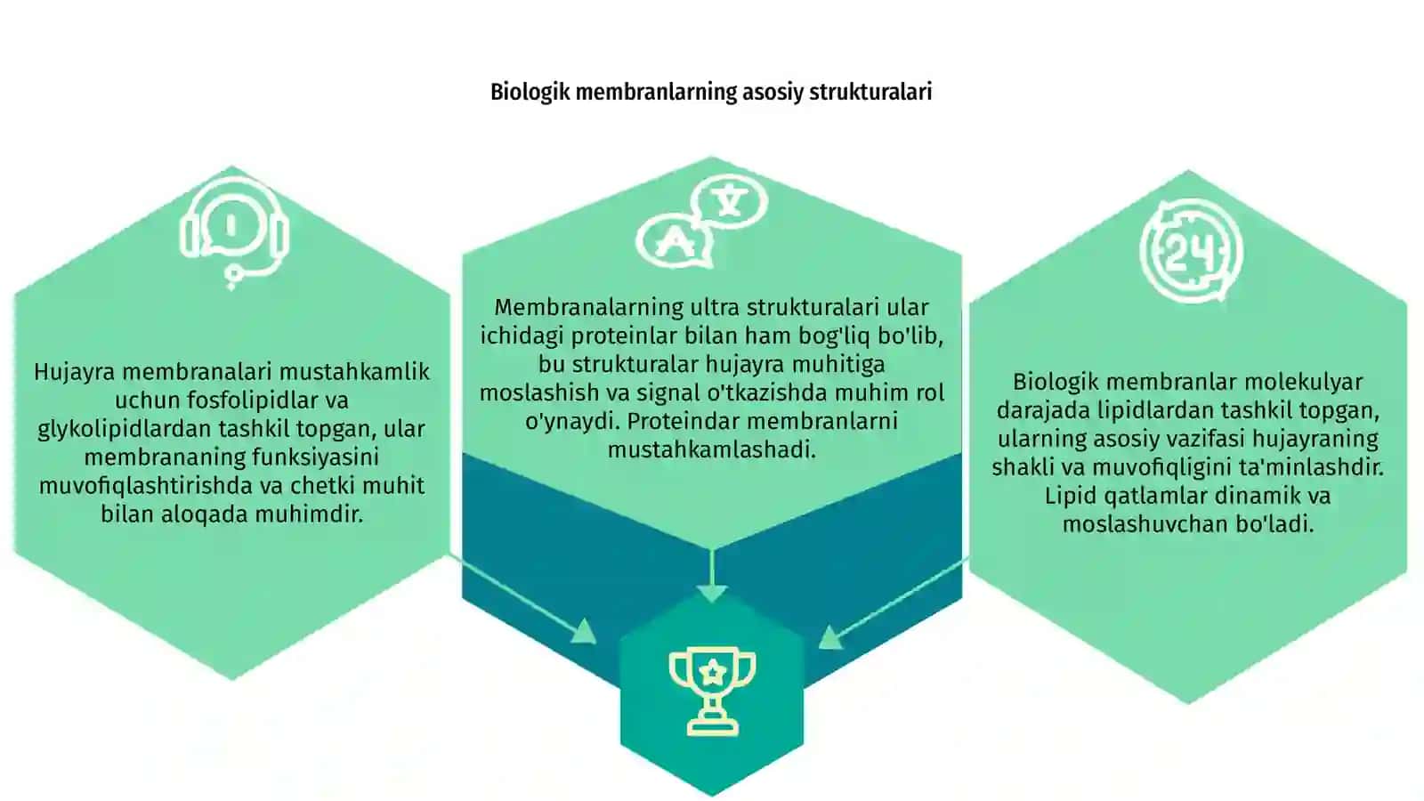 Biologik membranalarning ultra sutrukturalari 3