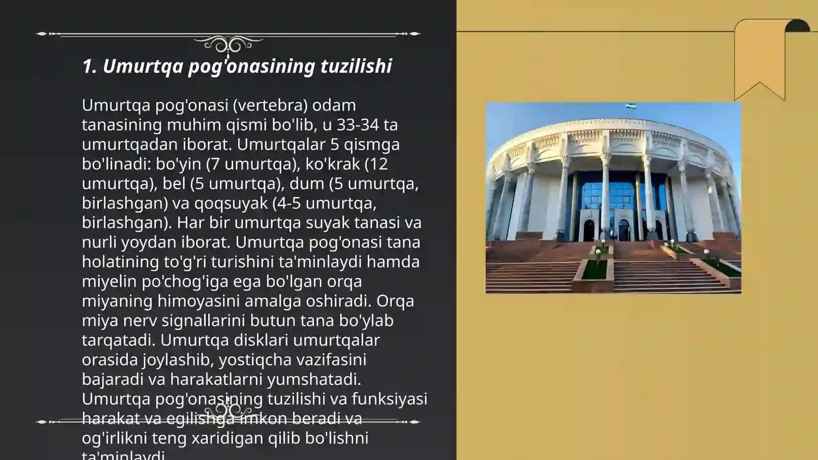 Umurtqa pogo'nasi boylamlari 3