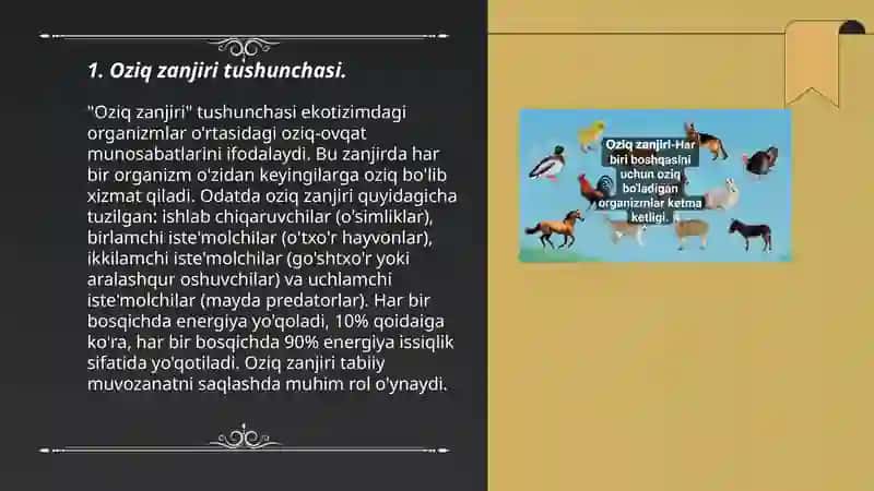Oziq zanjiri tushunchasi 3
