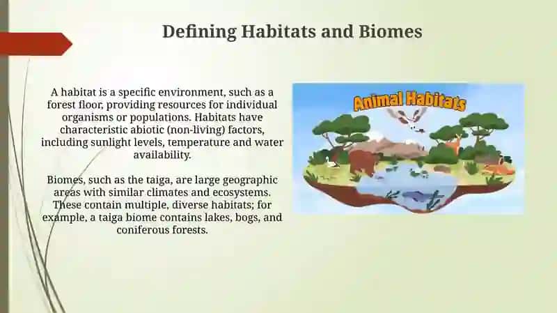 Understanding Habitats and Biomes 3