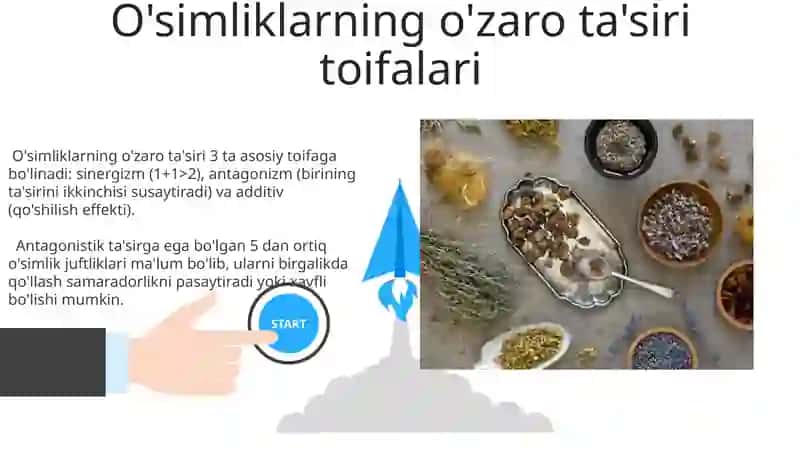 O'simliklarning o'zaro ta'siri 3
