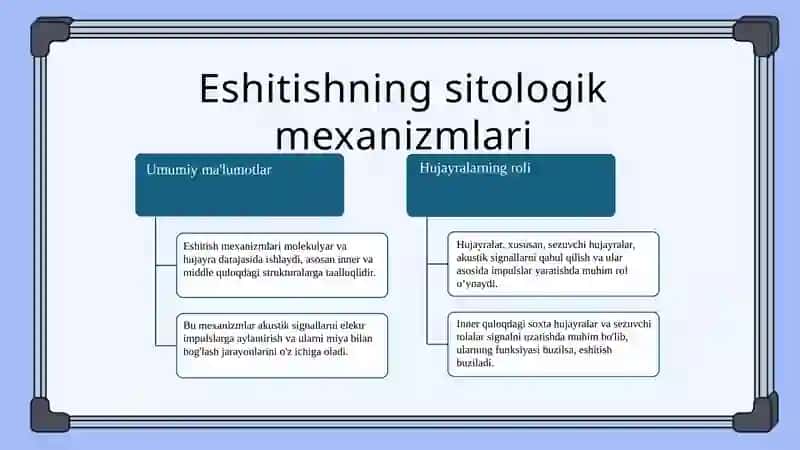Eshitishning sitologik mexanizmlari 3