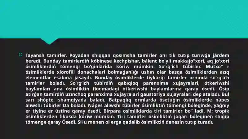 Tiykarǵı bas tamir 3