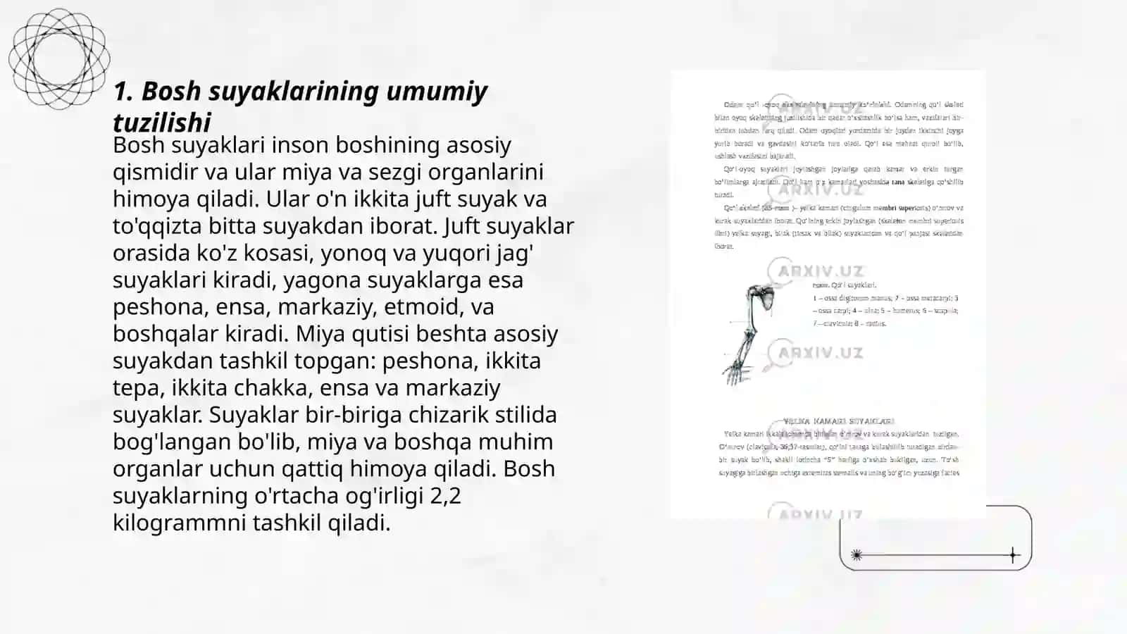 Bosh skaleti. Kalla suyaklari 3