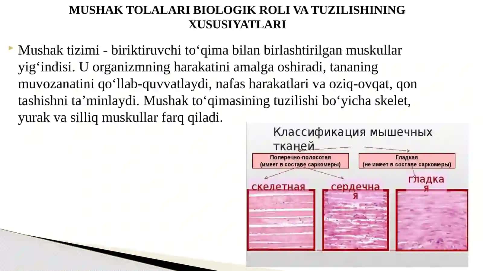 O‘quv-maqsadlimasalalar 3