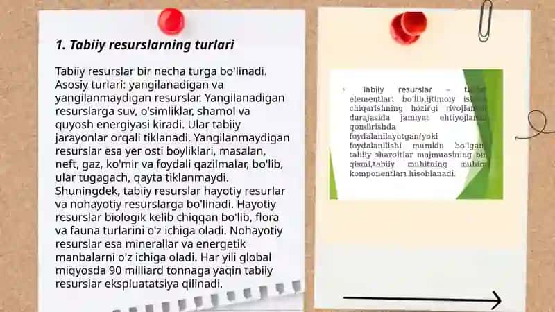Tabiiy resurslar bizning boyligimiz 3