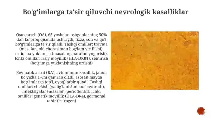 Bo‘g'imlartuzilishigatashqivaichkifaktorlarnita'siri 3