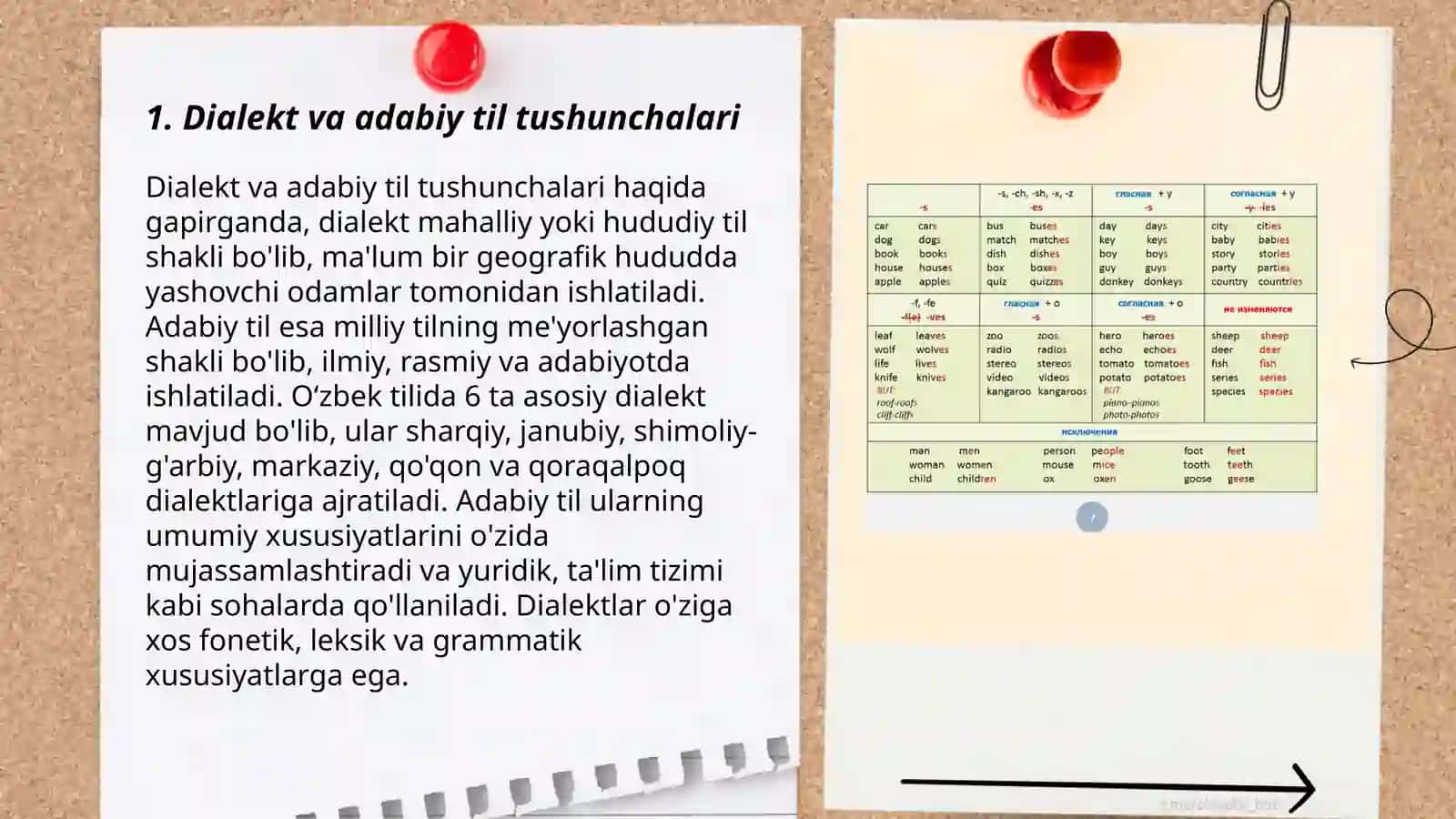 Dialektal lugʻatlarning adabiy til bilan aloqadorligi 3
