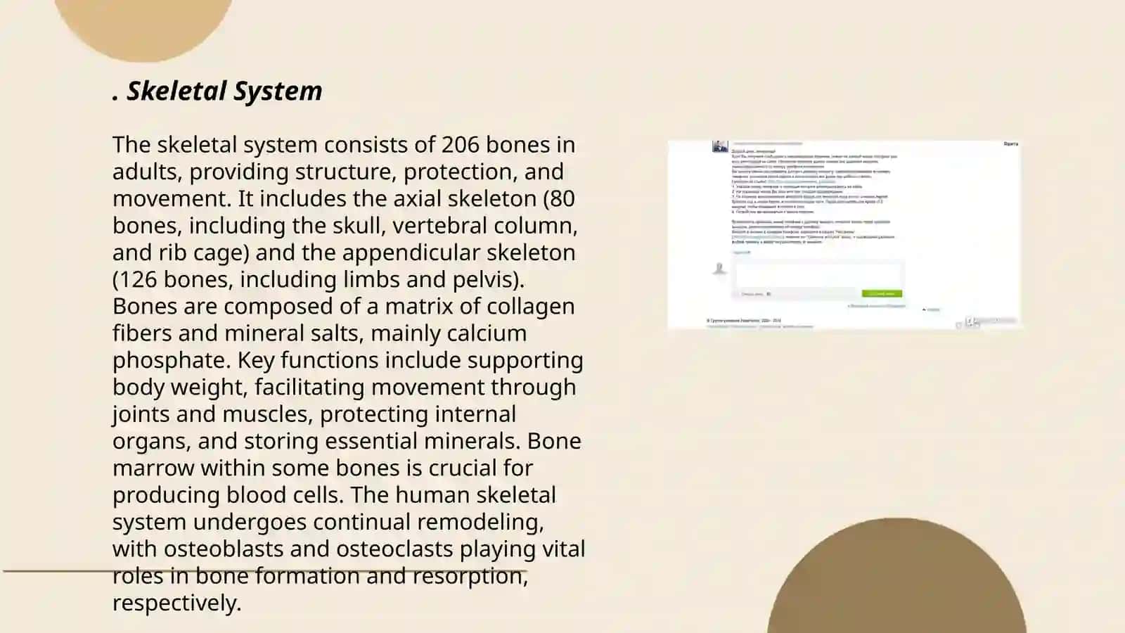 Skeletal System 3