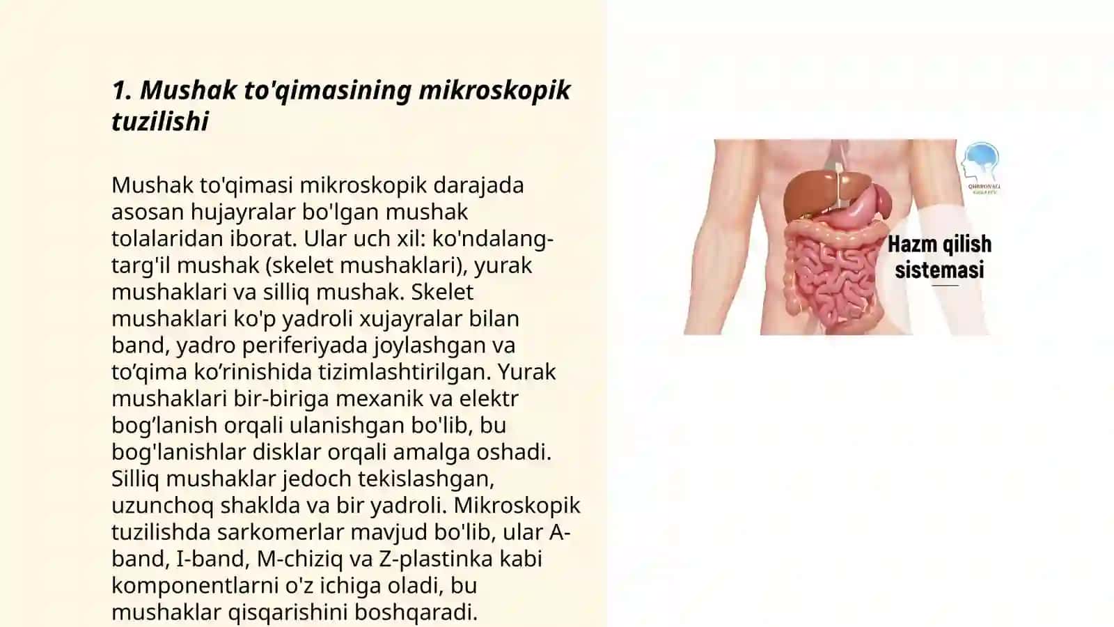 Chaynov mushaklarining tuzilishi va vazifasi 3