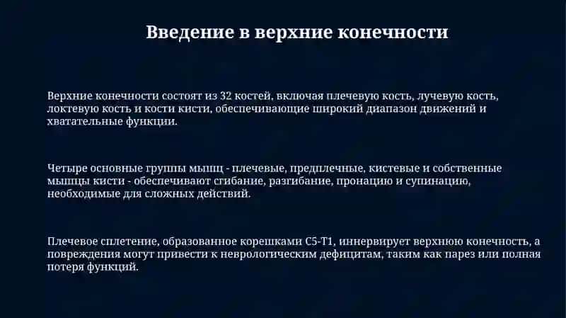 Верхниеконечности 3