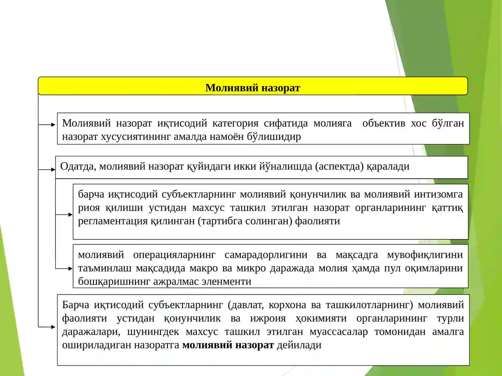 Молиявий назоратни амалга ошириш асослари 3