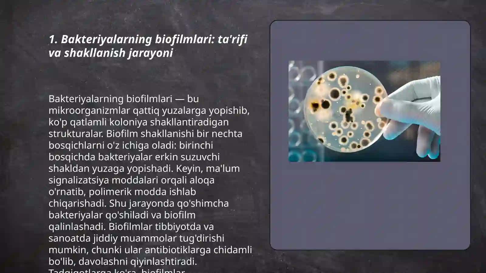Bakteriyalarning bioplenkasi 3