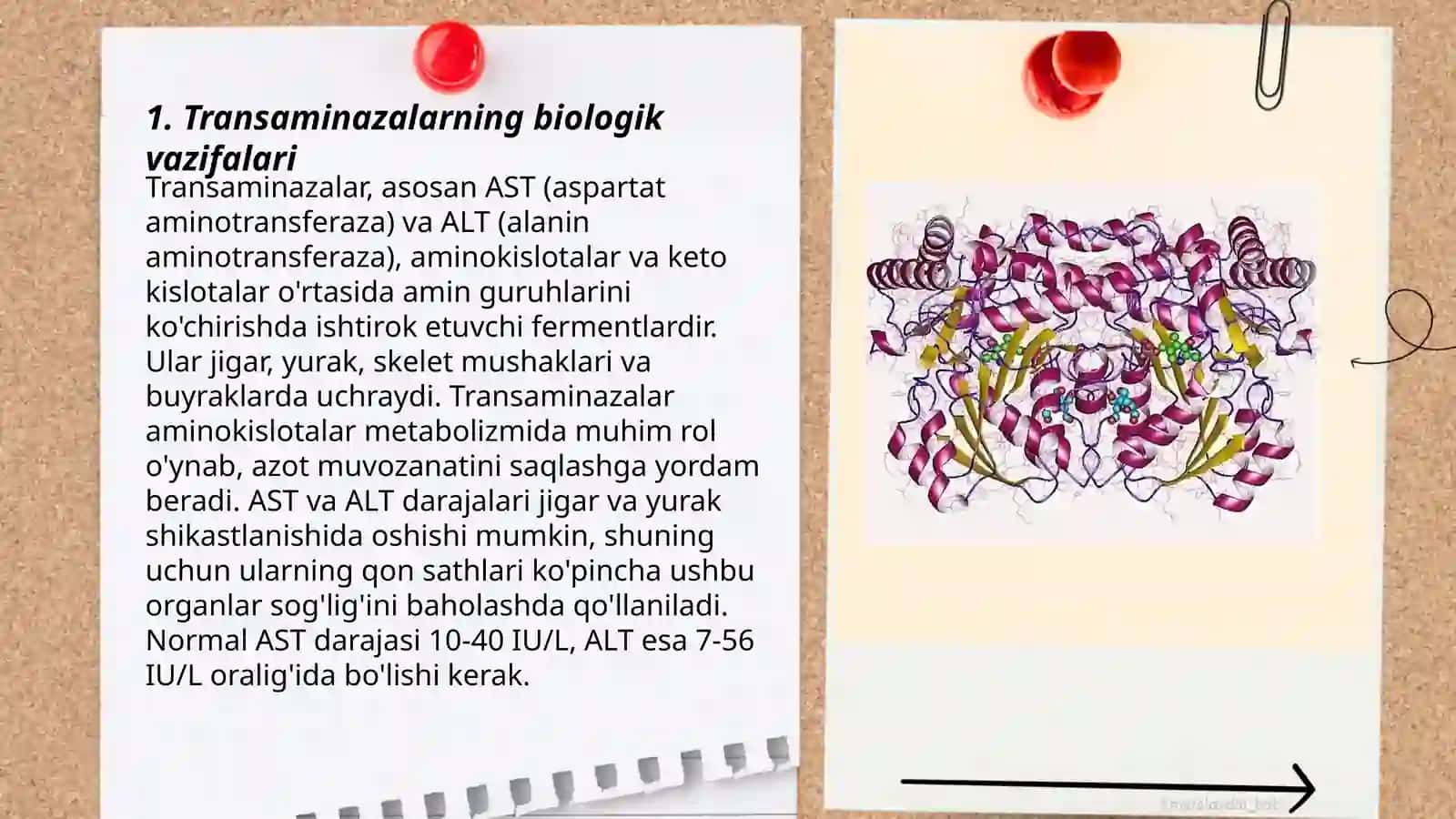 Transaminazalarni klinik axamiyati 3