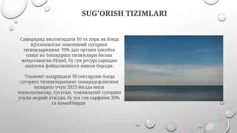 Maysazorlar va gulzorlar yaratish 3