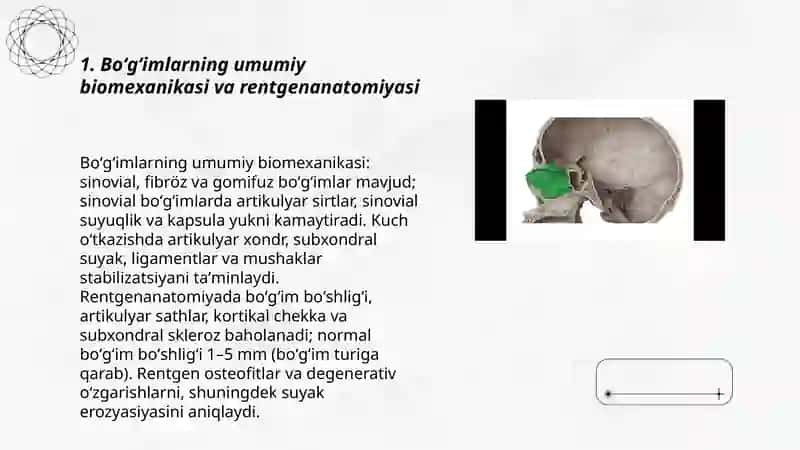 Boʻgʻimlarning biomexanikasi. Birlashmalarning rengenanatomiyasi 3
