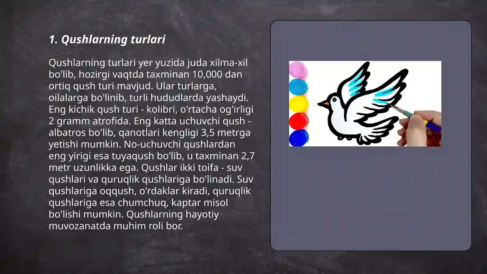 Qushlar va parrandalar rasmini chizish 3