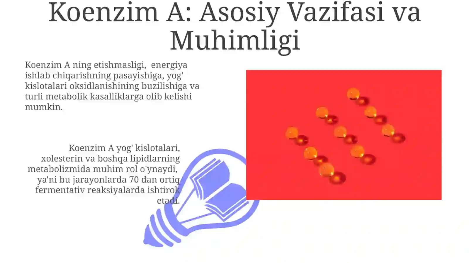 Pantotenik Kislota (B5 Vitamini) 3