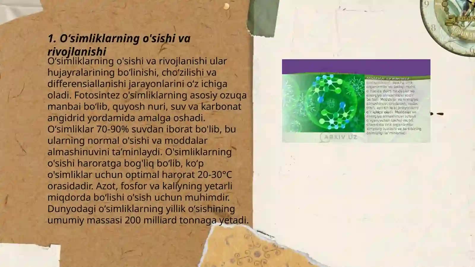 Oʻsimliklar dunyosi va ularning hayot tarzi 3