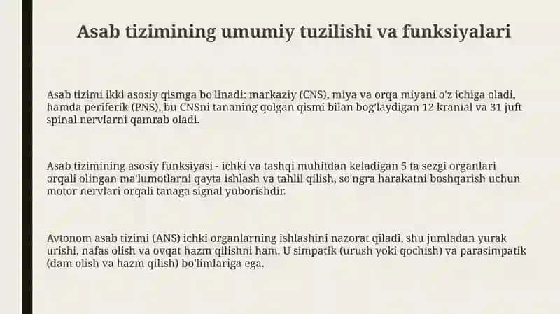 Nervtizimi 3