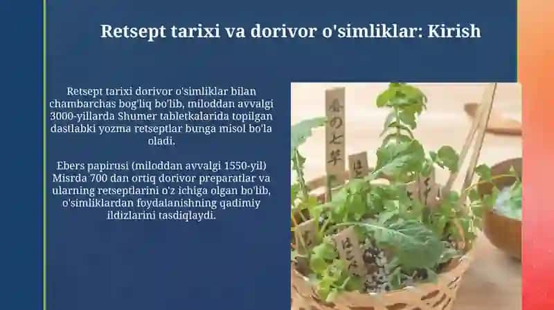 Retsept tarixi. Dorivor o'simliklar 3