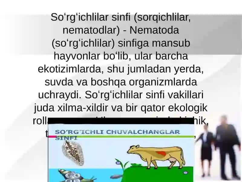 Soʻrgʻichlilar sinfi vakillari 3