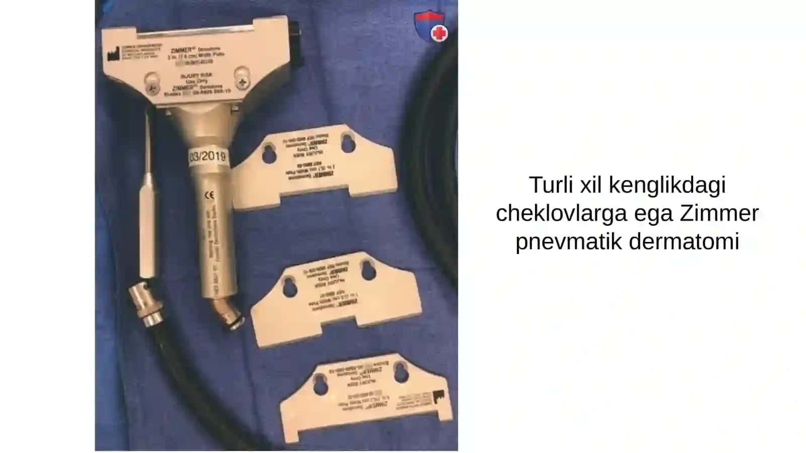 Teri regeneratsiyasi va transplantatsiyasi 3