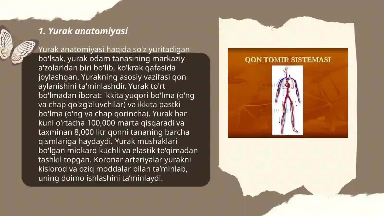 Qon aylanishi. Yurak mushaklari 3