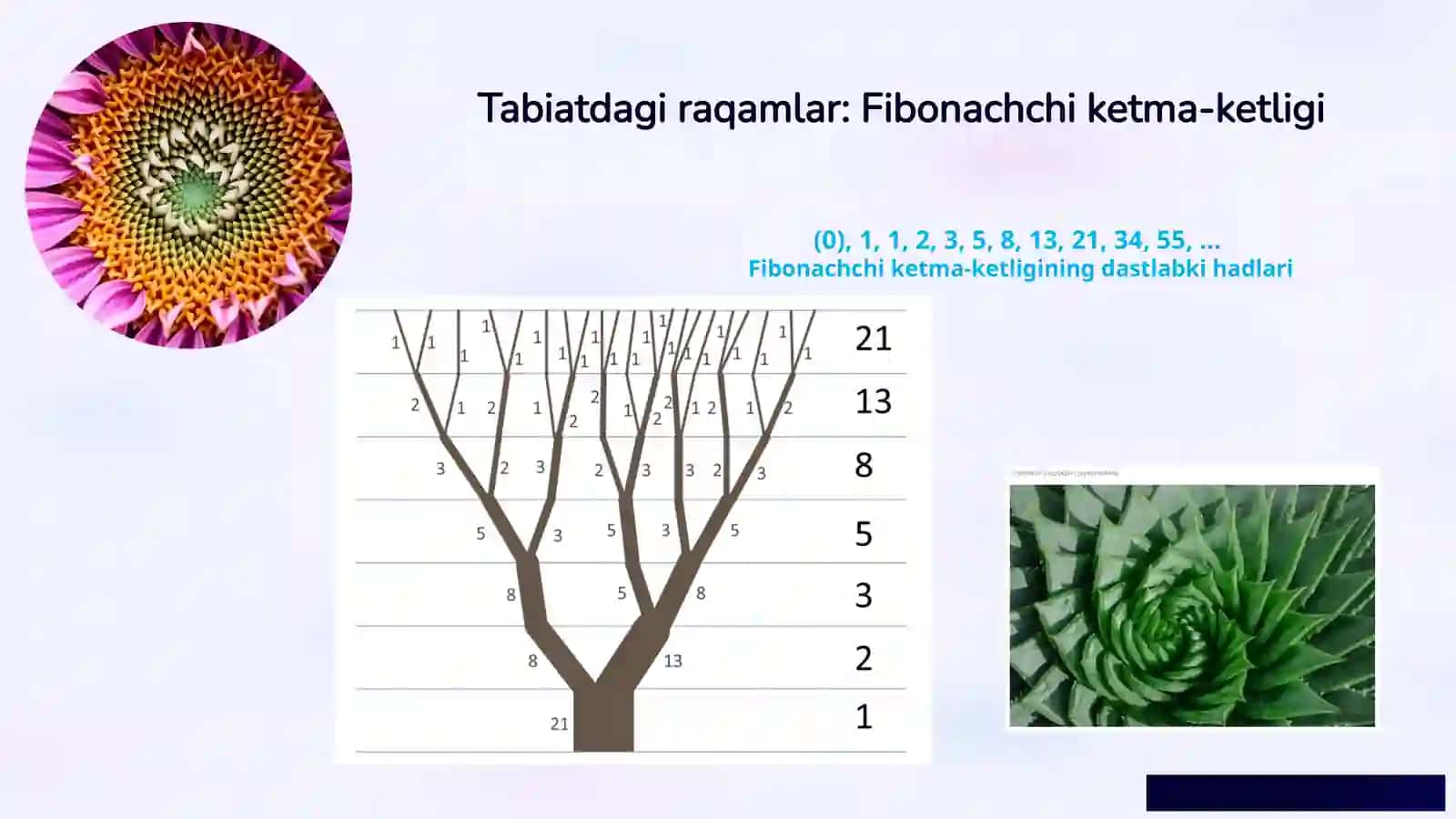 Matematika mo'jizalari 3
