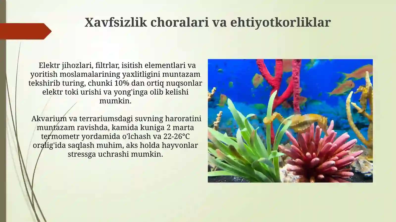Akvarium va Terrarium Hayvonlarini Parvarish Shartlarini O'rganish 3