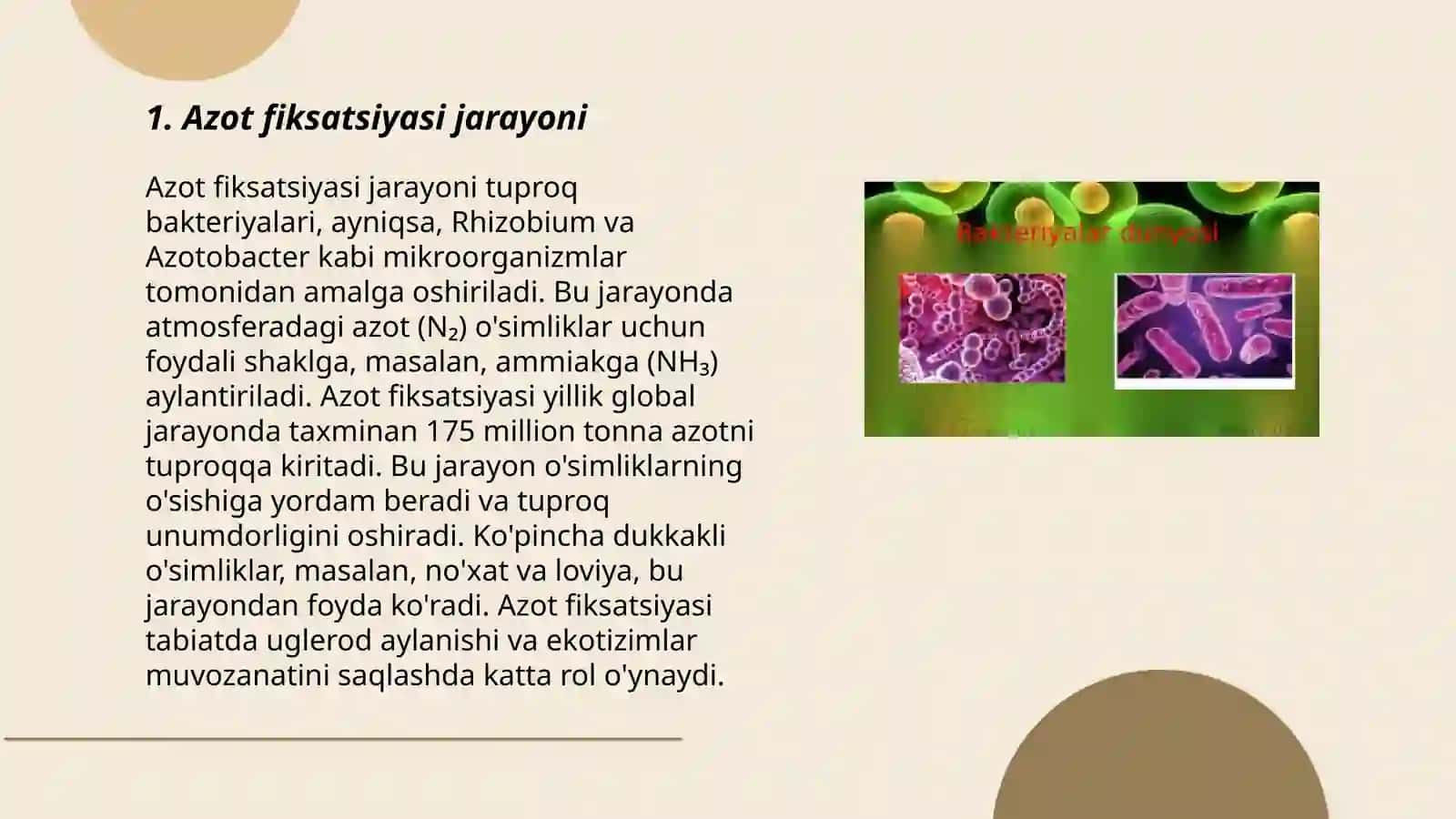 AZOT YUTUVCHI BAKTERIYALAR 3