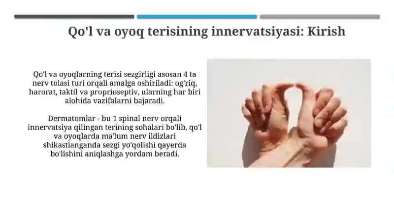 Qo'l va oyoq terisining innervatsiyasi 3