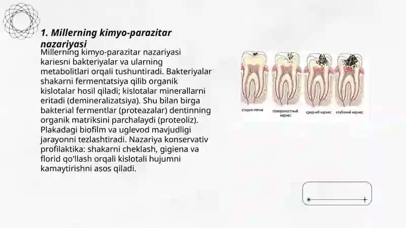Karies kelib chiqish nazariyalari 3