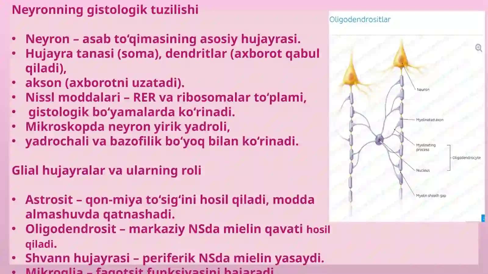 Neyronlardan ervimpulslarini hosil bo‘lish mexanizmlari 3